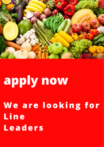 Line Leaders – Busy Vegetable Production Sites